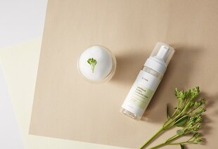 iUNIK - Centella Bubble Cleansing Foam, 150ml - Attīrošas sejas tīrīšanas putas cena un informācija | Sejas ādas kopšana | 220.lv