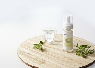 iUNIK - Centella Bubble Cleansing Foam, 150ml - Attīrošas sejas tīrīšanas putas cena un informācija | Sejas ādas kopšana | 220.lv