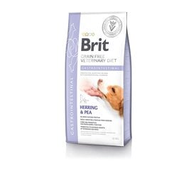 Brit GF Veterinary Diets Dog Gastrointestinal беззерновой сухой корм для собак при проблемах с желудком и кишечником, 12 кг цена и информация | Сухой корм для собак | 220.lv