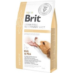 Brit GF Veterinary Diets Dog Hepatic беззерновой сухой корм для собак при нарушении функции печени, 2 кг цена и информация | Сухой корм для собак | 220.lv