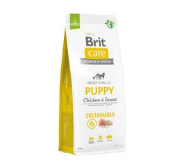 Brit Care Sustainable Puppy Chicken&Insect сухой корм для собак, 12 кг цена и информация |  Сухой корм для собак | 220.lv