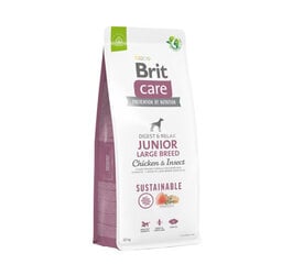 Brit Care Sustainable Junior Large Breed Chicken&Insect сухой корм для собак крупных пород, 12 кг цена и информация | Сухой корм для собак | 220.lv