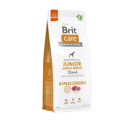 Brit Care Hypoallergenic Junior Large Breed Lamb гипоаллергенный сухой корм для собак крупных пород., 12 кг цена и информация | Сухой корм для собак | 220.lv