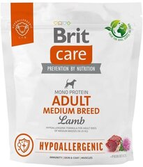 Brit Care hipoalerģiska sausā barība vidēja izmēra suņiem ar jēra gaļu un rīsiem, 1 kg cena un informācija | Sausā barība suņiem | 220.lv