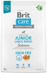 Brit Care Grain-free Junior Large Breed Salmon беззерновой сухой корм для молодых собак, 3 кг цена и информация | Сухой корм для собак | 220.lv