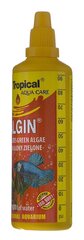 Preparāts aļģu iznīcināšanai Tropical Algin, 100 ml cena un informācija | Akvāriji un aprīkojums | 220.lv