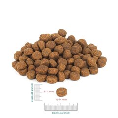 Perro Medium and large breeds ar liellopa un jēra gaļu, 12 kg cena un informācija | Sausā barība suņiem | 220.lv