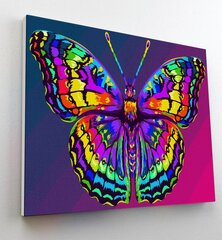 Splat Planet glezna pēc cipariem, BUTTERFLY 30x40 cm цена и информация | Живопись по номерам | 220.lv