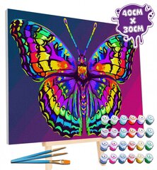 Splat Planet glezna pēc cipariem, BUTTERFLY 30x40 cm цена и информация | Живопись по номерам | 220.lv