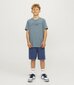 Jack & Jones bērnu T-krekls 12259713*02, zils 5715603667868 cena un informācija | T-krekli sievietēm | 220.lv