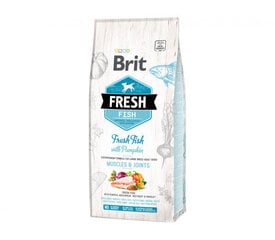 Brit Fresh Fish with Pumpkin Adult Large sausā barība lielu šķirņu suņiem, 2,5 kg cena un informācija | Sausā barība suņiem | 220.lv