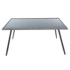 Galds Patio Lupus 150x90cm, pelēks cena un informācija | Dārza galdi | 220.lv