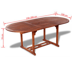 dārza galds, 200x100x74 cm, akācijas masīvkoks cena un informācija | Dārza galdi | 220.lv