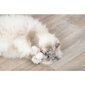 Rotaļlieta kaķiem - Trixie Ice cream and cupcake, plush, catnip, 7 cm, (36 gab.) цена и информация | Rotaļlietas kaķiem | 220.lv