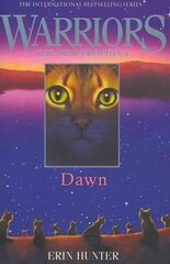 DAWN, Book 3 цена и информация | Книги для подростков и молодежи | 220.lv