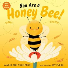 You Are a Honey Bee! цена и информация | Книги для малышей | 220.lv