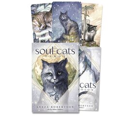 Soul Cats Tarot Llewellyn cena un informācija | Ezotērika | 220.lv
