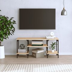 TV skapītis , 102x35x45,5 cm, brūns цена и информация | Тумбы под телевизор | 220.lv