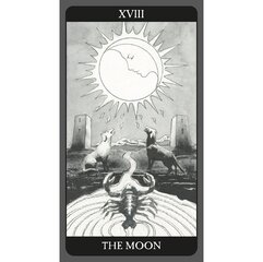 Tarot kāršu tumšā puse Lo Scarabeo цена и информация | Эзотерика | 220.lv