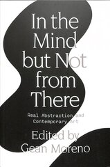 In the Mind But Not From There: Real Abstraction and Contemporary Art цена и информация | Книги об искусстве | 220.lv