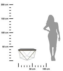 Кофейный столик Curved 60 см белый и черный цена и информация | Журнальные столики | 220.lv