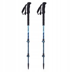 Spieķi Alpinus Matterhorn NX11314, 65-135 cm цена и информация | Палки для ходьбы | 220.lv