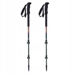 Spieķi Alpinus Matterhorn NX11313, 65-135 cm cena un informācija | Nūjošanas nūjas | 220.lv