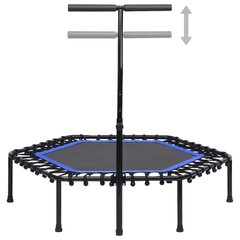 fitnesa batuts ar rokturi, 122 cm цена и информация | Спортивные батуты | 220.lv