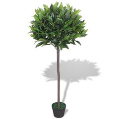 mākslīgais augs, dižciltīgais laurs ar podiņu, 125 cm, zaļš cena un informācija | Mākslīgie ziedi | 220.lv