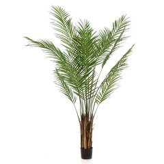 Emerald Mākslīgā palma Areca, zaļa, 180cm cena un informācija | Mākslīgie ziedi | 220.lv