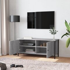 TV skapītis ar durvīm , 102x35x45 cm, pelēks цена и информация | Тумбы под телевизор | 220.lv