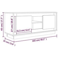 TV skapītis ar durvīm , 102x35x45 cm, pelēks цена и информация | Тумбы под телевизор | 220.lv