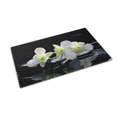 Durvju paklājs Orhidejas, 150x100 cm cena un informācija | Kājslauķi | 220.lv