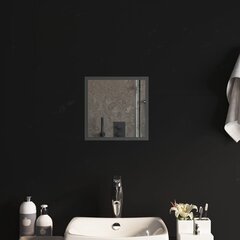 vannasistabas spogulis ar LED, 30x30 cm cena un informācija | Spoguļi | 220.lv