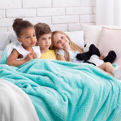 Amelia Home плед Shleepy 170x210 см цена и информация | Покрывала, пледы | 220.lv