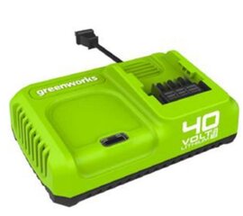 Зарядное устройство Greenworks G40UC5 - 2945107, 40В 5А цена и информация | Шуруповерты, дрели | 220.lv