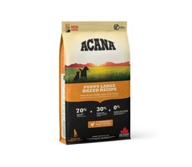 ACANA sausa barība suņiem Puppy Large Breed 11.4 kg cena un informācija | ACANA Suņiem | 220.lv