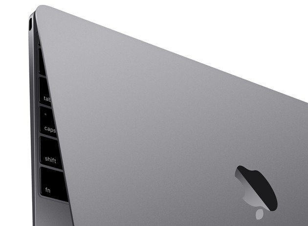 Apple MacBook 12" Space Gray MLH82 ENG (Early 2016) цена и информация | Portatīvie datori | 220.lv