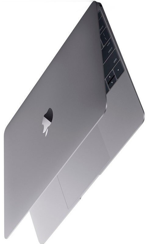 Apple MacBook 12" Space Gray MLH82 RUS (Early 2016) цена и информация | Portatīvie datori | 220.lv