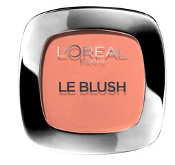 Vaigu sārtums L'Oreal Paris True Match 160 Peche 5 g cena un informācija | Bronzeri, vaigu sārtumi | 220.lv