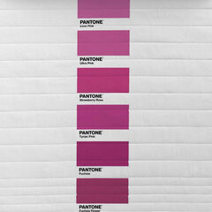 Gultas pārklājs (sega) Fun Deck Purple Pantone: Parametri - Gultas izmērs 90 (180 x 260 cm) cena un informācija | Segas | 220.lv