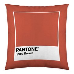 Pantone spilvendrāna cena un informācija | Dekoratīvie spilveni un spilvendrānas | 220.lv