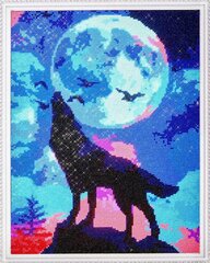 Алмазная мозаика 40x50 cm.  "Full moon" цена и информация | Алмазная мозаика | 220.lv