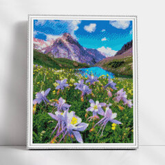 Dimantu mozaīkas komplekts uz rāmja TM Varvikas - Blooming Meadow LG302e 40x50 cm cena un informācija | Dimantu mozaīkas | 220.lv