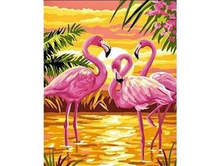 Gleznošana pēc skaitļiem 40x50cm rozā flamingo cena un informācija | Gleznas pēc numuriem | 220.lv