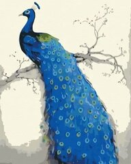 Glezna pēc numuriem Symag Blue Peacock, 40x50 cm cena un informācija | Gleznas pēc numuriem | 220.lv