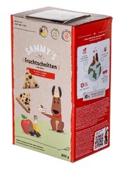 Bosch Sammy's Fruit Slices ar āboliem un mellenēm, 800 g цена и информация | Лакомства для собак | 220.lv