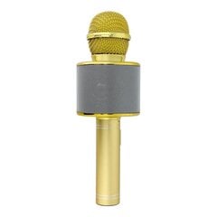 OEM CR58S, gold cena un informācija | Mikrofoni | 220.lv