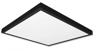 LED griestu lampa 40W, 60x60 cm cena un informācija | Griestu lampas | 220.lv