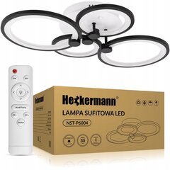 Heckermann потолочный светильник цена и информация | Потолочные светильники | 220.lv